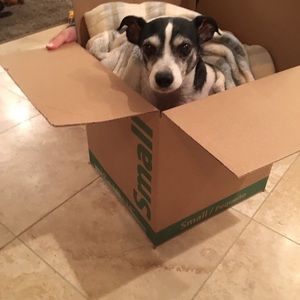 Meet your Posher, Kate